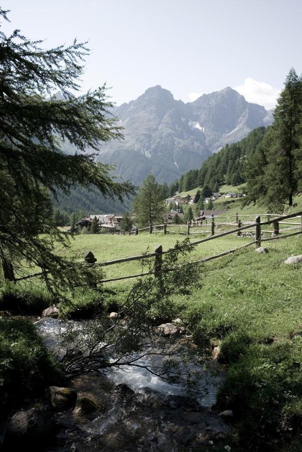 Alpengasthof Crusch Alba Ed Alvetern, S-Charl سكول المظهر الخارجي الصورة